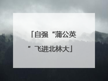自强“蒲公英”飞进北林大